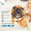 Natural Remedies Lush Me Up Mild Anti-Hairfall Shampoo for Dogs, Cats & Pups of All Breeds, Reduces Hair Fall & Restore Softness and Bounce, Hypoallergenic, Paraben Free (90 ml Each, Pack of 2) Natural Remedies