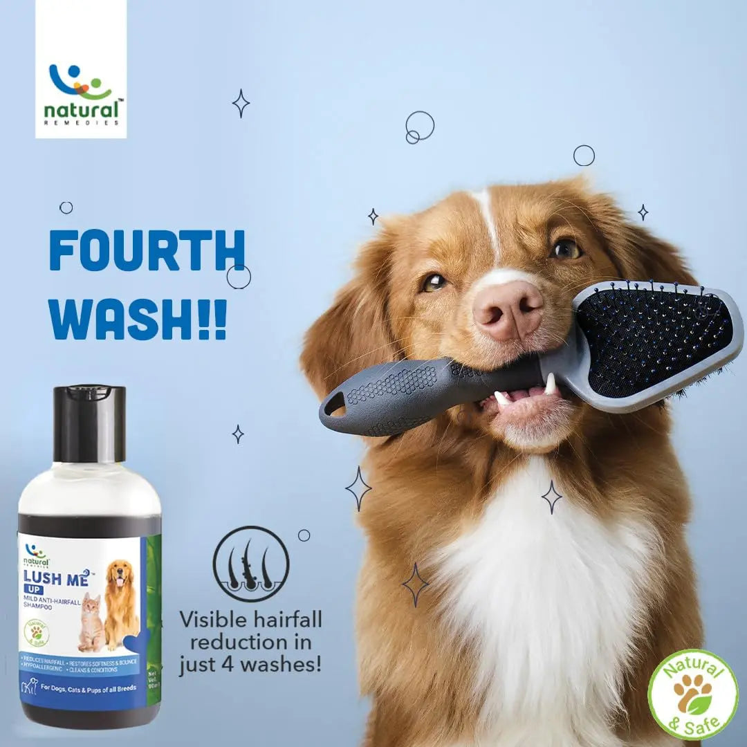 Natural Remedies Lush Me Up Mild Anti-Hairfall Shampoo for Dogs, Cats & Pups of All Breeds, Reduces Hair Fall & Restore Softness and Bounce, Hypoallergenic, Paraben Free (90 ml Each, Pack of 2) Natural Remedies