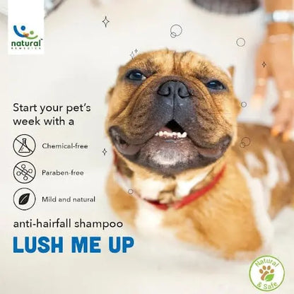 Natural Remedies Lush Me Up Mild Anti-Hairfall Shampoo for Dogs, Cats & Pups of All Breeds, Reduces Hair Fall and Restore Softness and Bounce, Cleans & Conditions, Natural and Safe, 350 ml Natural Remedies