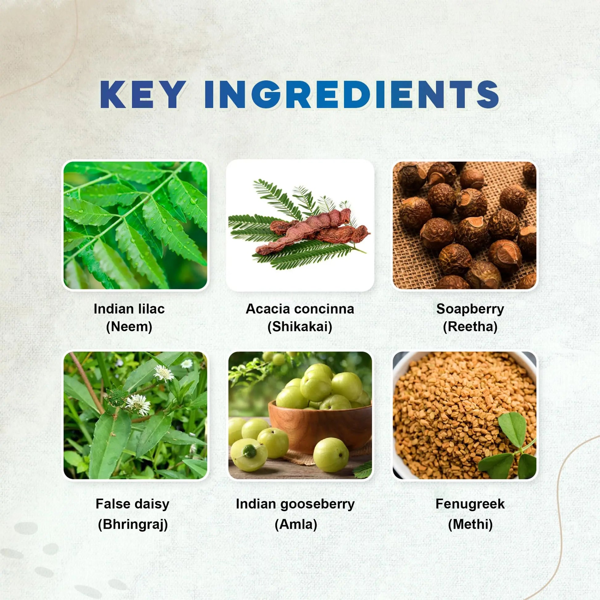 Natural Remedies Lush Me Up Mild Anti-Hairfall Shampoo for Dogs, Cats & Pups of All Breeds, Reduces Hair Fall and Restore Softness and Bounce, Cleans & Conditions, Natural and Safe, 350 ml Natural Remedies