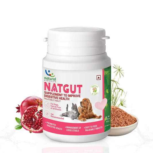 Natural Remedies Natgut Digestive Health Supplement - 20 Tablets, Real Chicken Liver, Supports Gut Health, Reduces Stool Odor and Manages Loose Stools for Dogs, Cats and Puppies for All Life Stages Natural Remedies