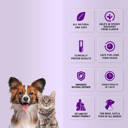 Natural Remedies Natlife Energy Restore Supplement for Dull & Sick Pets, Real Chicken Liver Paste, Easy to Feed, Safe & Effective, Pet Wellness, Immune Support for Dogs, Cats - 30ml (Pack of 1) Natural Remedies