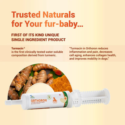 Natural Remedies Orthoron Joint Supplement for Dogs and Cats, Relieves Limping and Stiffness, Enhances Joint Movement, All-Natural & Safe, Easy Feed Paste, Real Chicken Liver, 60ml (Pack of 2) Natural Remedies