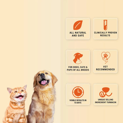 Natural Remedies Orthoron Joint Supplement for Dogs and Cats, Relieves Limping and Stiffness, Enhances Joint Movement, All-Natural & Safe, Easy Feed Paste, Real Chicken Liver, 60ml (Pack of 2) Natural Remedies