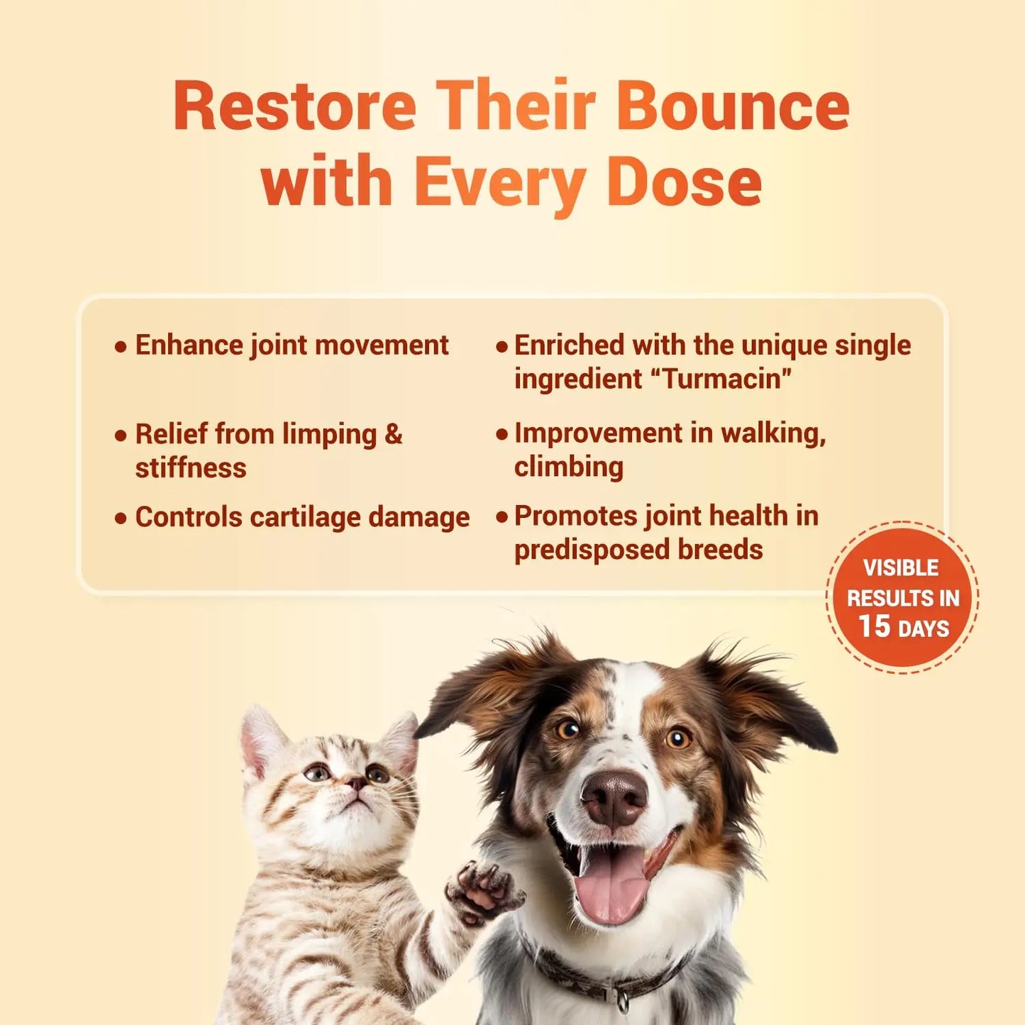 Natural Remedies Orthoron Joint Supplement for Dogs and Cats, Relieves Limping and Stiffness, Enhances Joint Movement, All-Natural & Safe, Easy Feed Paste, Real Chicken Liver, 60ml (Pack of 2) Natural Remedies