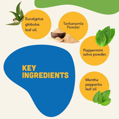 Natural Remedies Reliflam Itch & Redness Relief Spray for Dogs, Cats, Lick Safe, Reduces Hair Fall, Moisturizes Dry Skin, All-Natural Ingredients, Pet Friendly, Allergy Relief, Skin Soothing, 75ml Natural Remedies