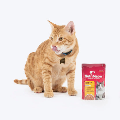 NutriMeow by HUFT Chicken in Gravy Wet Cat Food for Adult Cats - 80gm | Pack of 12 | Rich in Protein | Healthy, Nutritious & Delicious Cat Pouch | Complete Meal | Supports Active & Healthy Lifestyle NutriMeow