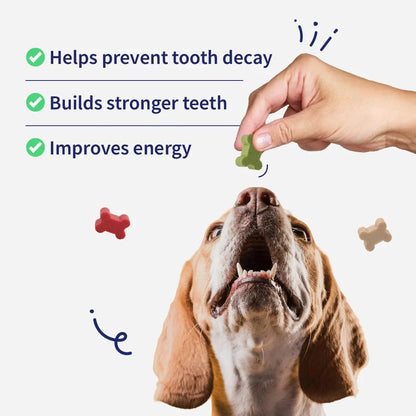 NutriWag Assorted Training Bites Dog Treats - 200 gm | Pack of 3 |Healthy & Tasty | Soft Chews for Puppies & Adult Dogs | High Protein, No Added Preservatives | Reward Treats for Training NutriWag