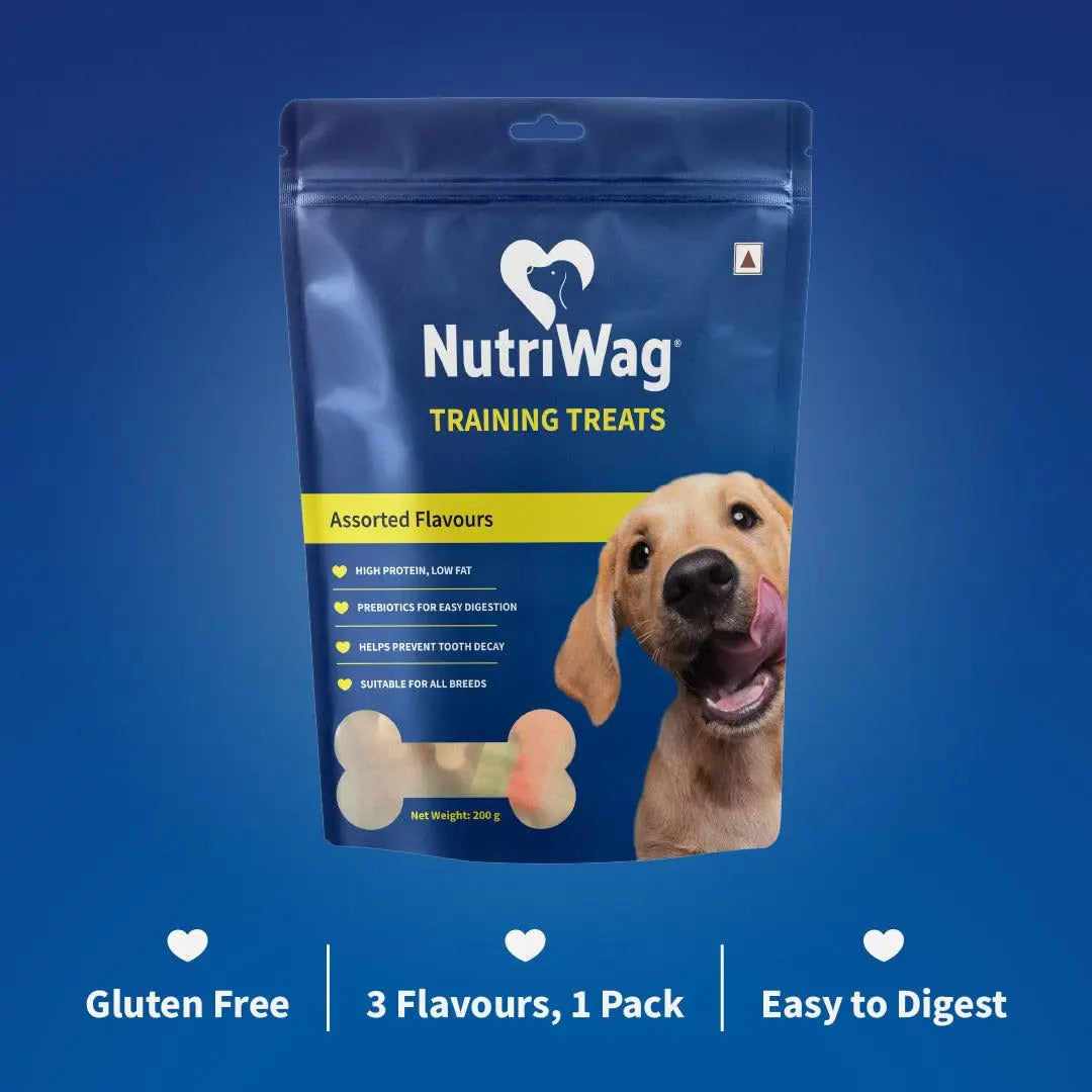 NutriWag Assorted Training Bites Dog Treats - 200 gm | Pack of 3 |Healthy & Tasty | Soft Chews for Puppies & Adult Dogs | High Protein, No Added Preservatives | Reward Treats for Training NutriWag