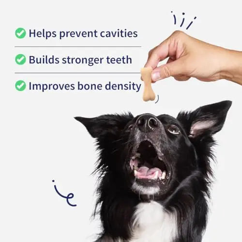 NutriWag Calcium Chew Bones – Milk-Flavored Dog Treats, 200 gm | Strengthens Teeth & Bones | Tasty & Nutritious Chews for All Breeds | Grain-Free, No Artificial Flavors NutriWag