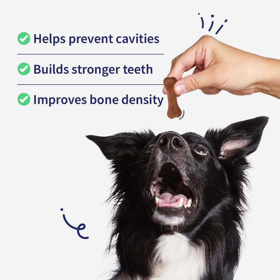 NutriWag Chicken Calcium Chew Bones Dog Treats – 500 gm | Protein & Calcium Rich | Supports Strong Bones & Teeth | Healthy Chews for All Breeds & Life Stages | No Added Preservatives NutriWag