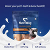 NutriWag Chicken Calcium Chew Bones Dog Treats – 500 gm | Protein & Calcium Rich | Supports Strong Bones & Teeth | Healthy Chews for All Breeds & Life Stages | No Added Preservatives NutriWag