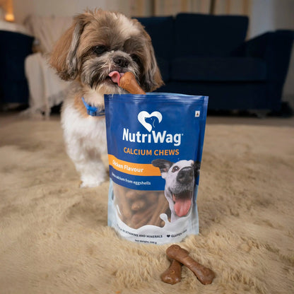 NutriWag Chicken Calcium Chew Bones Dog Treats – 500 gm | Protein & Calcium Rich | Supports Strong Bones & Teeth | Healthy Chews for All Breeds & Life Stages | No Added Preservatives NutriWag