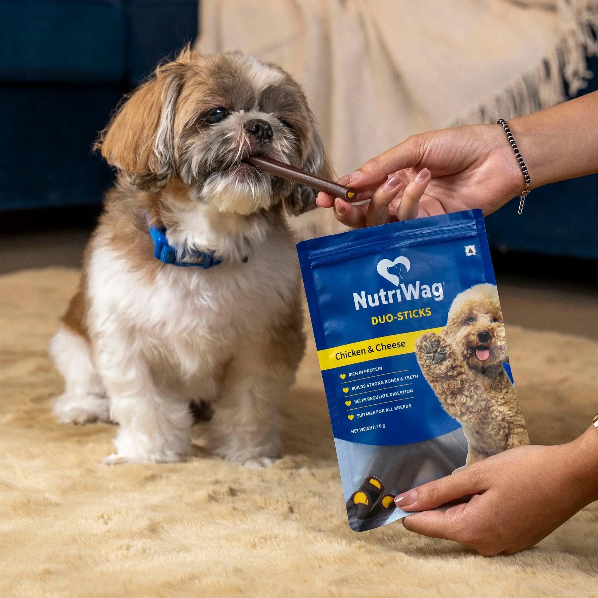 NutriWag Dog Treats - Chicken & Cheese Duo Sticks, 70 gm | Pack of 3 |Protein-Rich, Easily Digestible | Ideal for Puppies & Adult Dogs | Tasty Chews for Daily Treat or Training Reward NutriWag