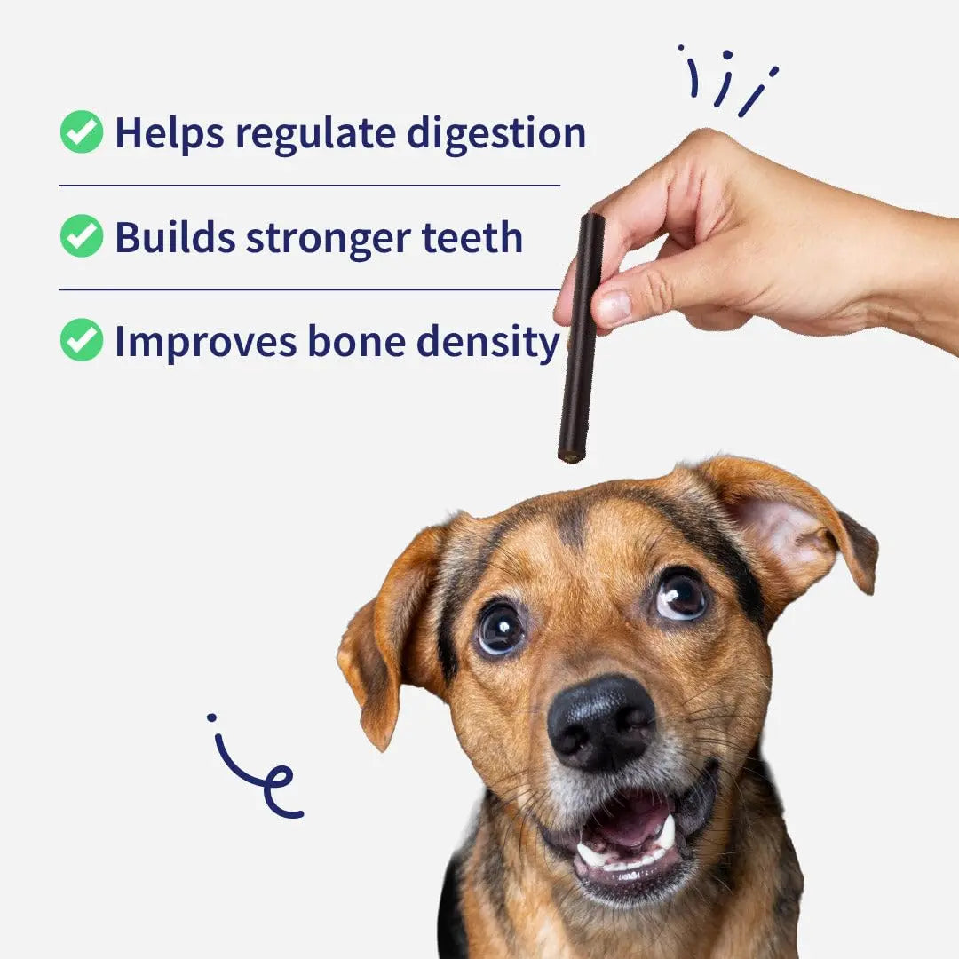 NutriWag Dog Treats - Chicken & Cheese Duo Sticks, 70 gm | Pack of 3 |Protein-Rich, Easily Digestible | Ideal for Puppies & Adult Dogs | Tasty Chews for Daily Treat or Training Reward NutriWag