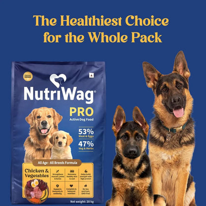NutriWag Pro Active by HUFT, Chicken & Vegetable Dog Dry Food – 20 kg | Complete & Balanced High Protein Diet for Active Dogs | Strong Muscles & Healthy Digestion NutriWag