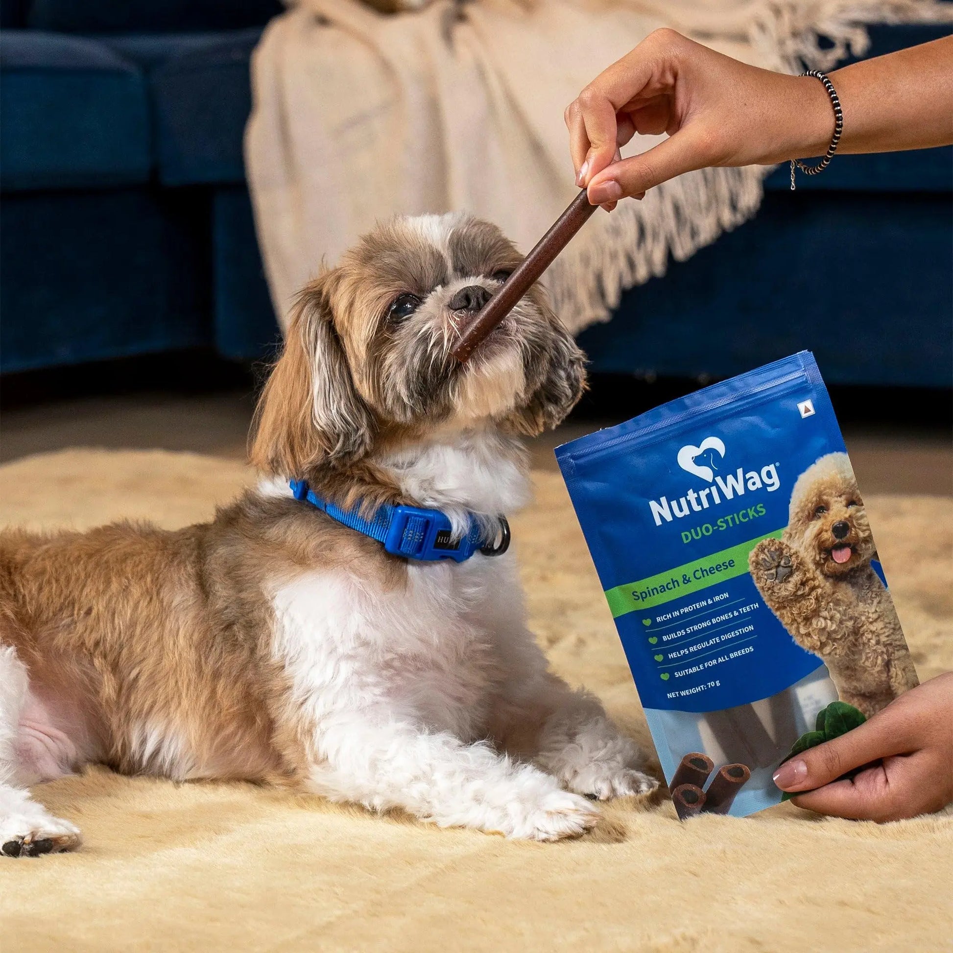 NutriWag Spinach & Cheese Duo Sticks Dog Treats – 70 gm | Pack of 5 | Nutrient-Rich Healthy Chews | Protein & Fiber-Rich | Ideal for All Breeds & Ages | No Artificial Additives NutriWag