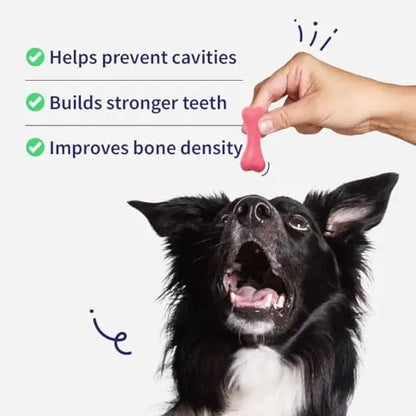 NutriWag Strawberry Calcium Chew Bones Dog Treats – 200 gm | Tasty & Nutritious Chews | Supports Strong Bones & Teeth | Ideal for All Breeds & Life Stages NutriWag