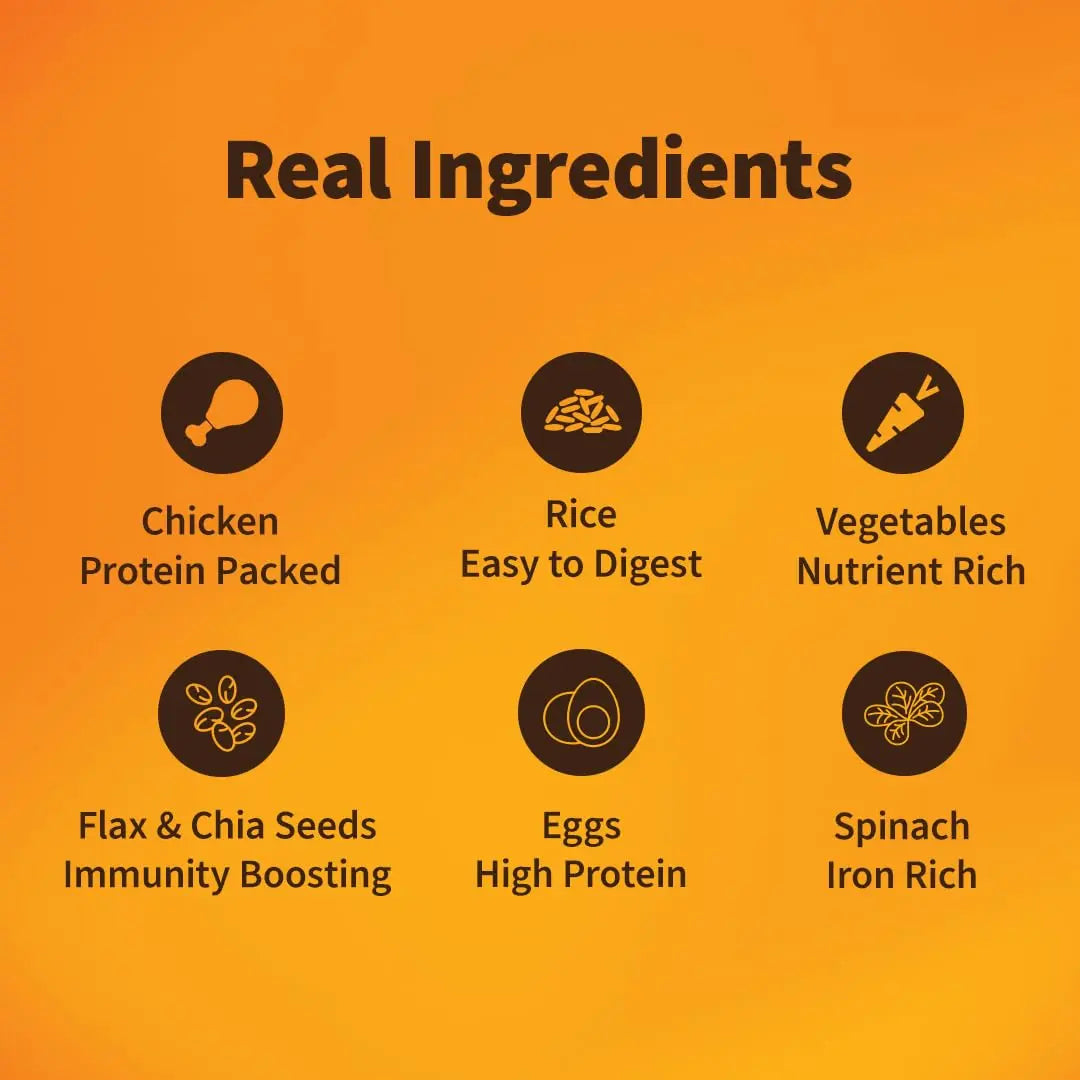 NutriWag Wet Dog Food with Chicken, Rice & Spinach - 300 G| Pack of 10 | Complete & Balanced Meals for Dogs | All Breeds | High Protein | No Added Flavours,All Life Stages NutriWag