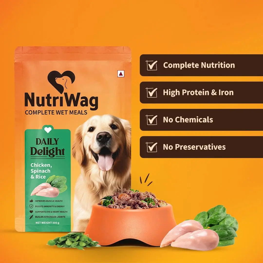 NutriWag Wet Dog Food with Chicken, Rice & Spinach - 300 G| Pack of 10 | Complete & Balanced Meals for Dogs | All Breeds | High Protein | No Added Flavours,All Life Stages NutriWag