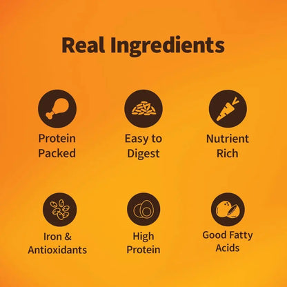 Nutriwag Wet Dog Food 300 gm | Balanced Meals with Chicken, Pumpkin, Rice & Vegetables | High Protein Dog Food | No Added Flavours | Human-Grade Ingredients | All Life Stages NutriWag