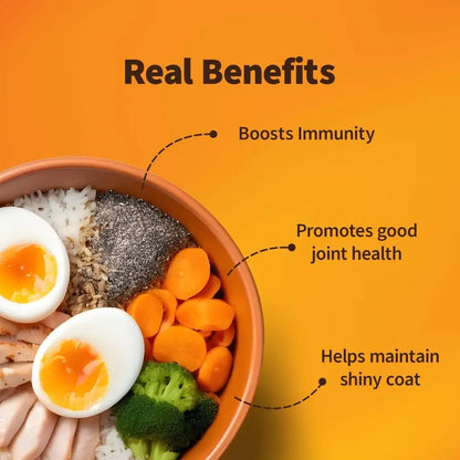 Nutriwag Wet Dog Food 300 gm | Balanced Meals with Chicken, Pumpkin, Rice & Vegetables | High Protein Dog Food | No Added Flavours | Human-Grade Ingredients | All Life Stages NutriWag