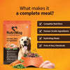 Nutriwag Wet Dog Food 300 gm | Pack of 10 | Balanced Meals with Chicken, Pumpkin, Rice & Vegetables | High Protein Dog Food | No Added Flavours | Human-Grade Ingredients | All Life Stages NutriWag