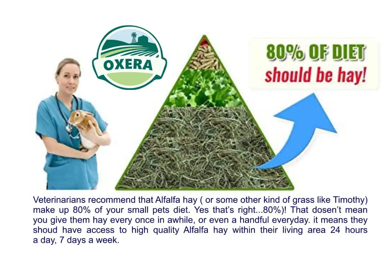 OXERA 500 Grams Grass Hay For Rabbit,Bunny, Hamster, Guineapig, Rat, Armadilo, Goats, Hens And Rabbit Food,All Life Stages, 1 Count OXERA