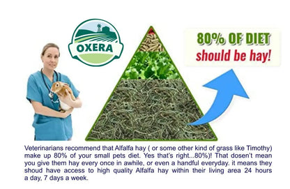 OXERA 500 Grams Grass Hay For Rabbit,Bunny, Hamster, Guineapig, Rat, Armadilo, Goats, Hens And Rabbit Food,All Life Stages, 1 Count OXERA