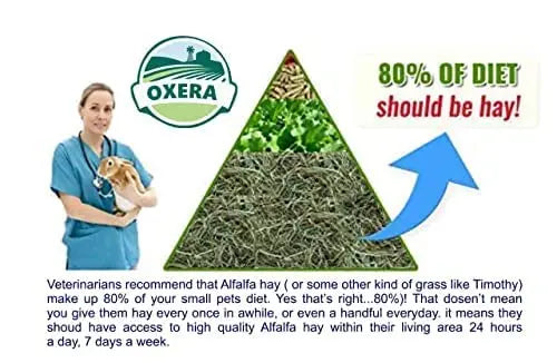 OXERA 500 Grams Grass Hay For Rabbit,Bunny, Hamster, Guineapig, Rat, Armadilo, Goats, Hens And Rabbit Food,All Life Stages, 1 Count OXERA