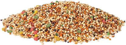 OXERA Best Bird Food LOVBIRDS, Parakeets, Cockatiel Contains ‎Yellow Millet, Canary Seeds, Imported Oats, Golden Millet,Nyjer Seeds, kangani Mix,Sunflower Seeds for Birds, Pack of 1 KG OXERA