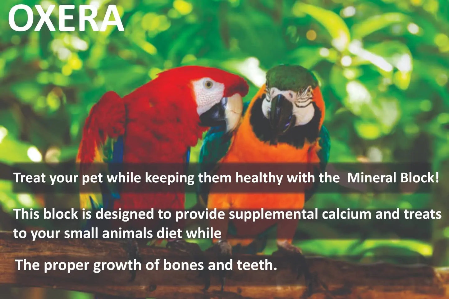 OXERA Mineral & Calcium Block Give Strength To Birds Bones And Feel Them Energetic Pack Off 250 Grams, For Lovebird, Budgies, Cockatiel, Finches, Canaries, Parrots, Grey Parrot, Macaw, Adult OXERA