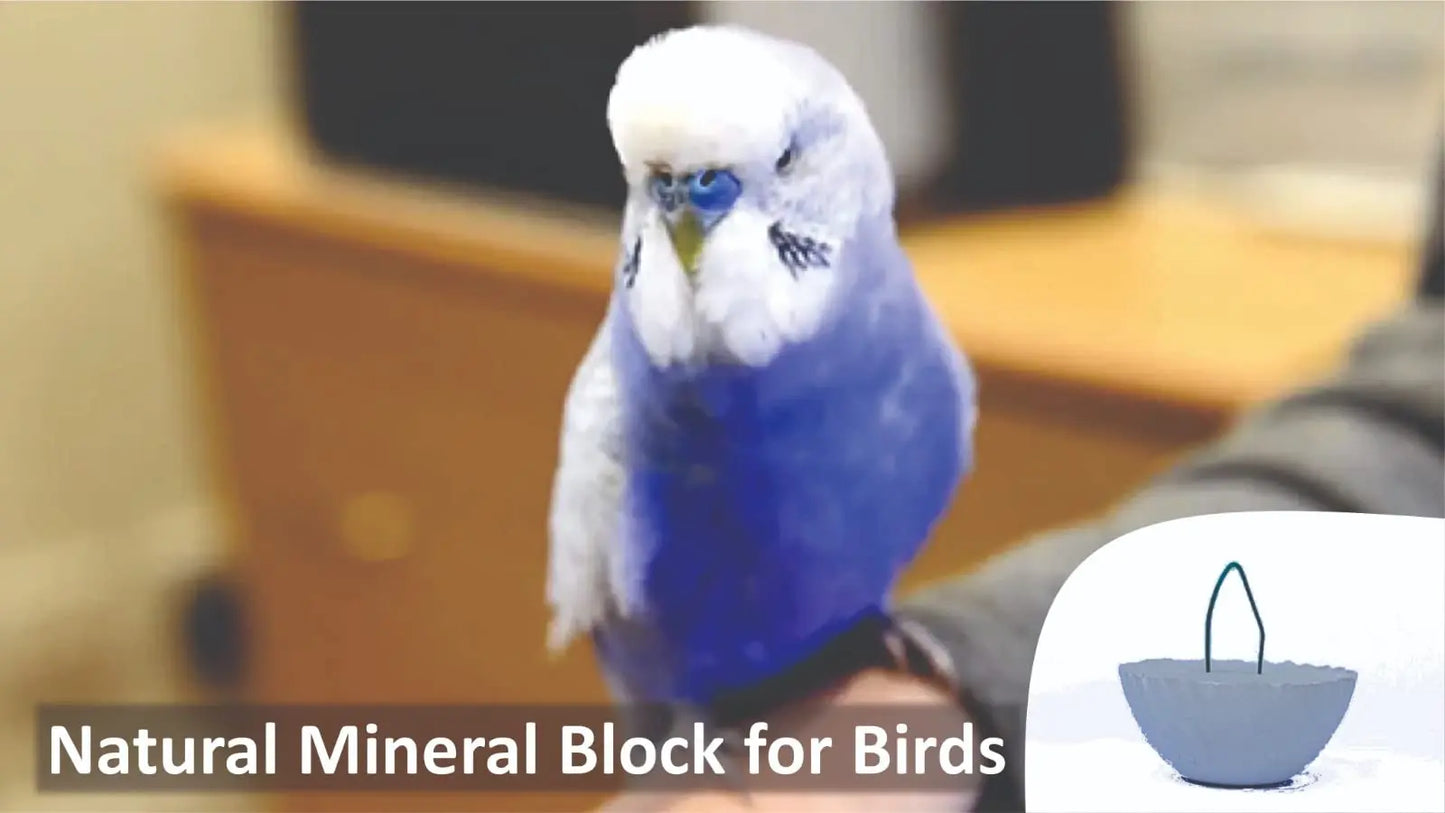 OXERA Mineral & Calcium Block Give Strength To Birds Bones And Feel Them Energetic Pack Off 250 Grams, For Lovebird, Budgies, Cockatiel, Finches, Canaries, Parrots, Grey Parrot, Macaw, Adult OXERA