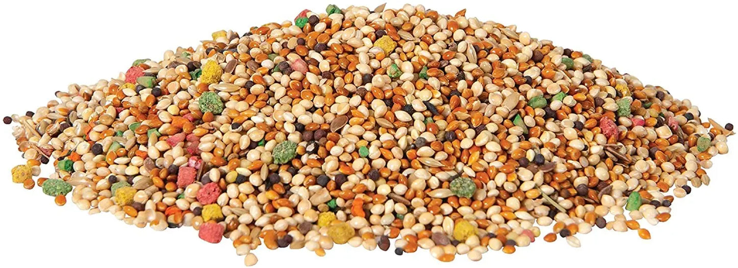 OXERA Premium Budgies Food 1KG OXERA