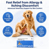 Oclamed Oclacitinib Maleate Tablets for Dogs (16 mg), Allergy and Itch Support Tablets for Skin Comfort, Strip of 10 Richpet