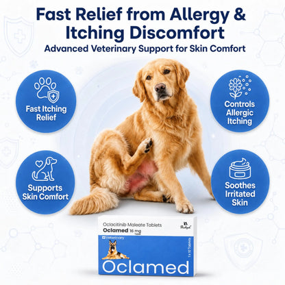 Oclamed Oclacitinib Maleate Tablets for Dogs (16 mg), Allergy and Itch Support Tablets for Skin Comfort, Strip of 10 Richpet