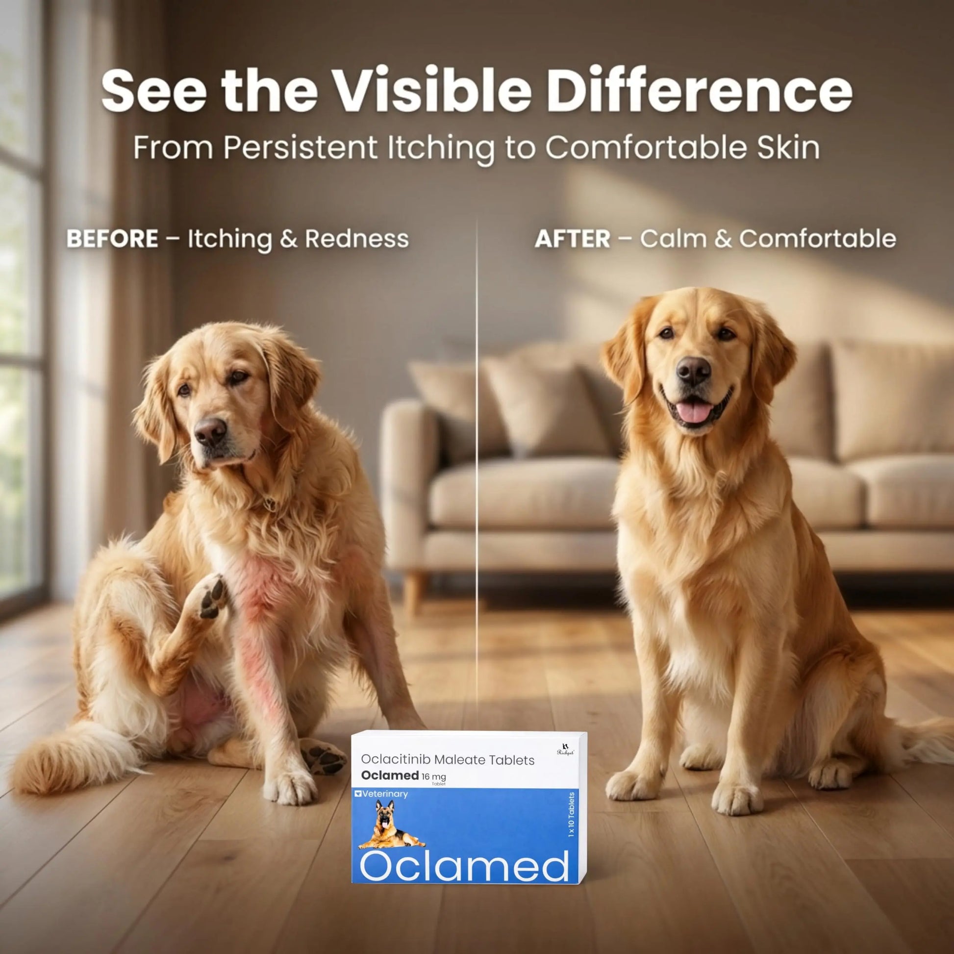Oclamed Oclacitinib Maleate Tablets for Dogs (16 mg), Allergy and Itch Support Tablets for Skin Comfort, Strip of 10 Richpet