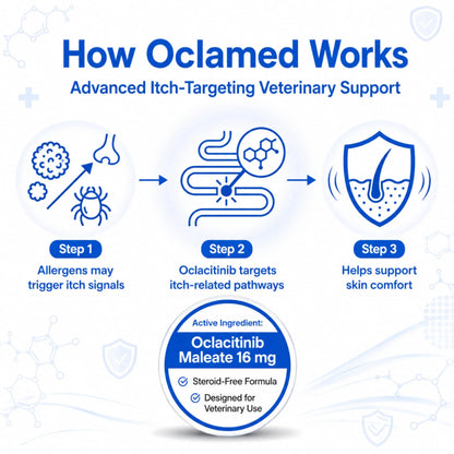 Oclamed Oclacitinib Maleate Tablets for Dogs (16 mg), Allergy and Itch Support Tablets for Skin Comfort, Strip of 10 Richpet
