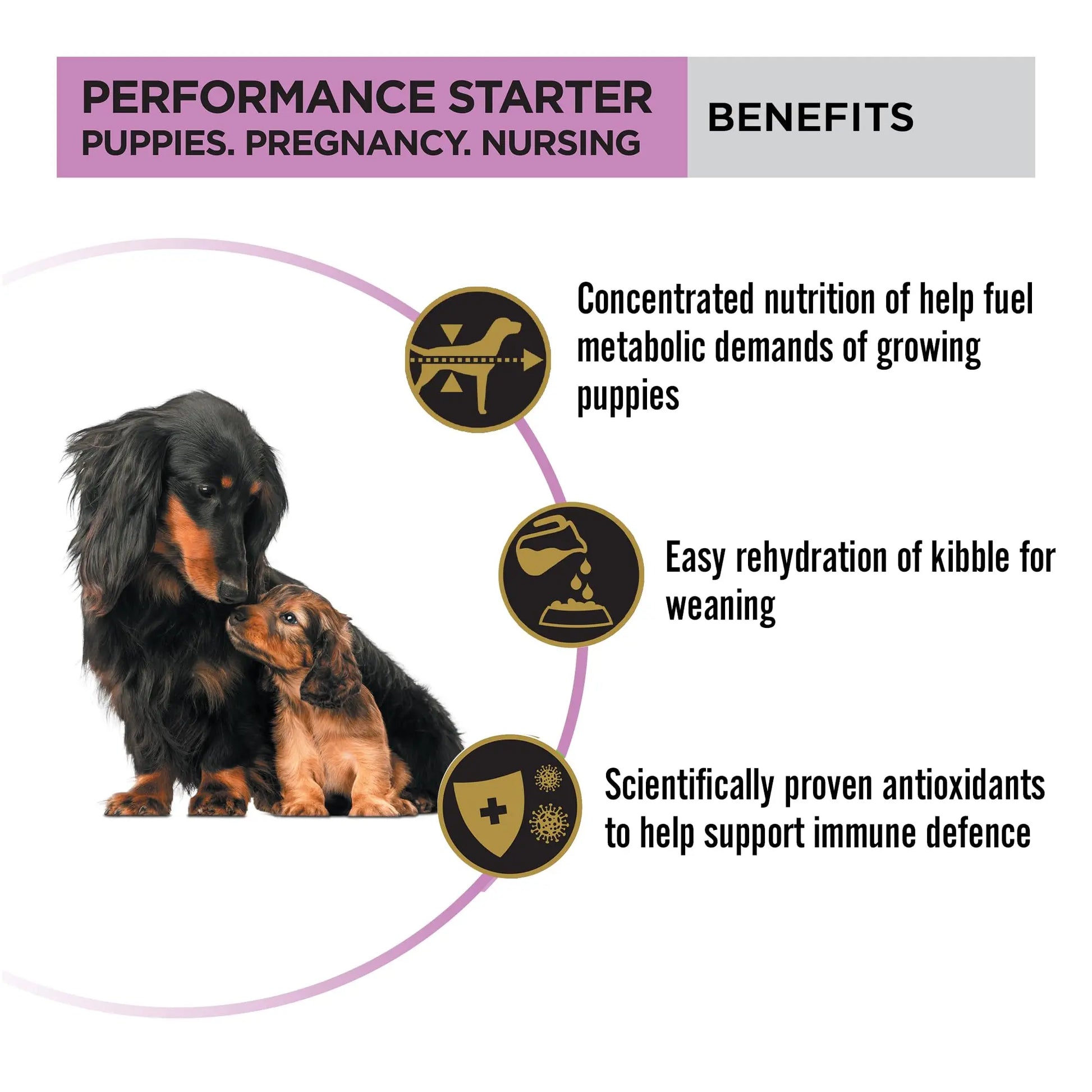 PURINA PRO Plan Performance Kibble Starter, Puppies & Mothers, 3 Kg Pack PURINA