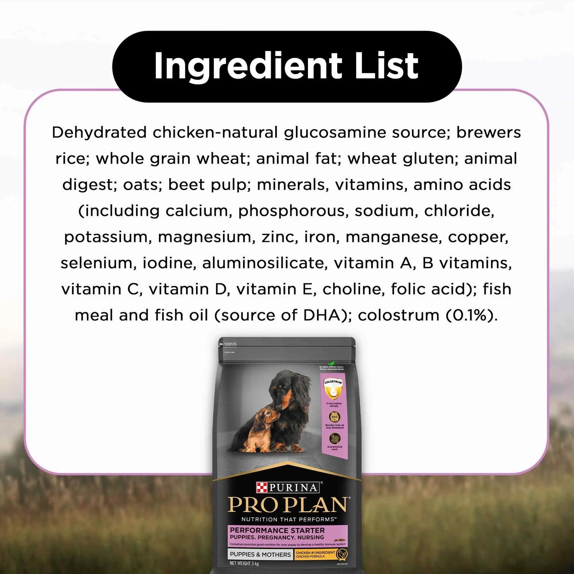 PURINA PRO Plan Performance Kibble Starter, Puppies & Mothers, 3 Kg Pack PURINA