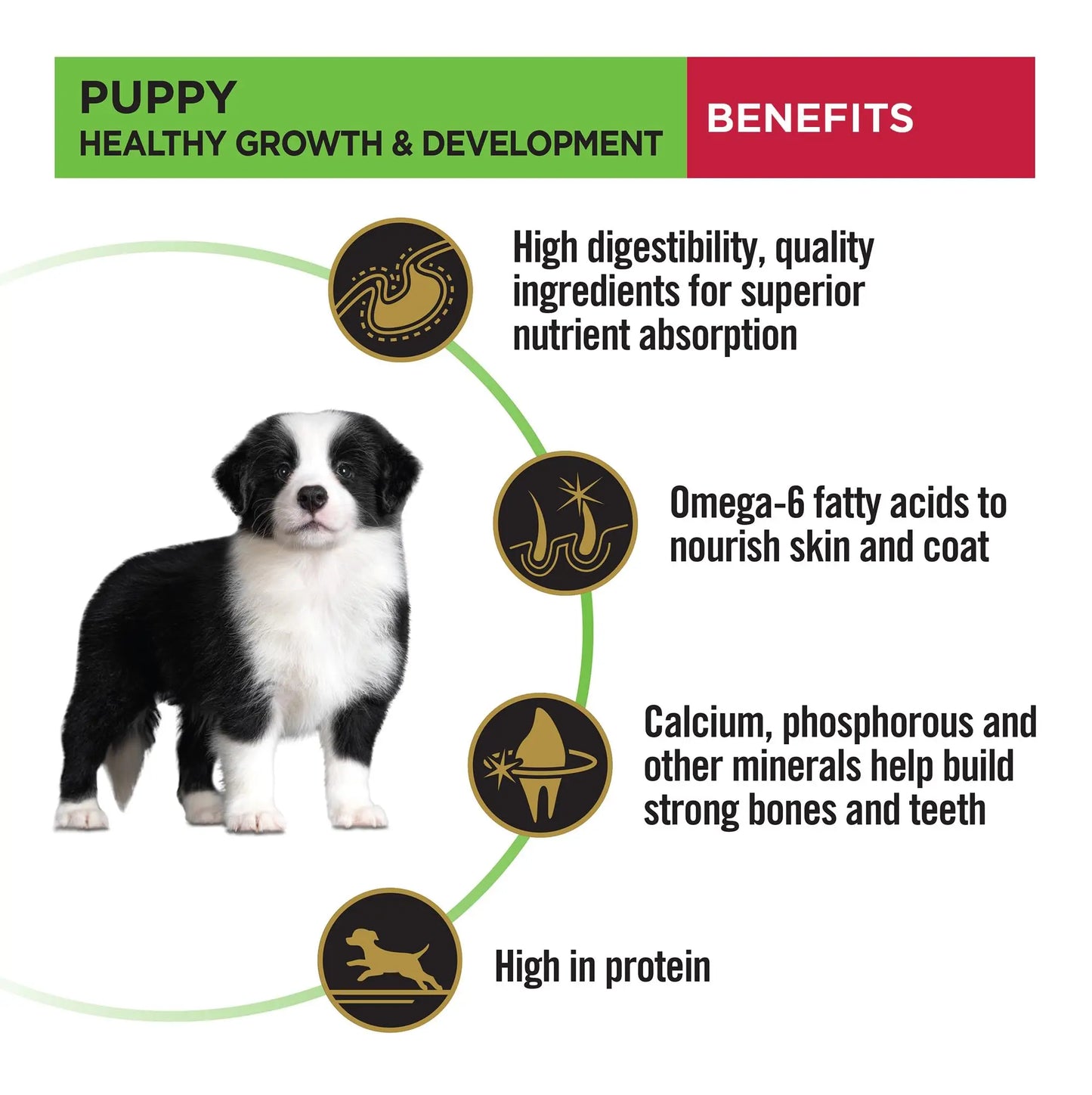 PURINA PRO Plan Puppy Food for Medium Sized Dogs, 3Kg Pack PURINA