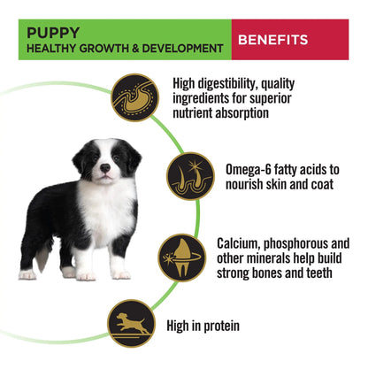 PURINA PRO Plan Puppy Food for Medium Sized Dogs, 3Kg Pack PURINA
