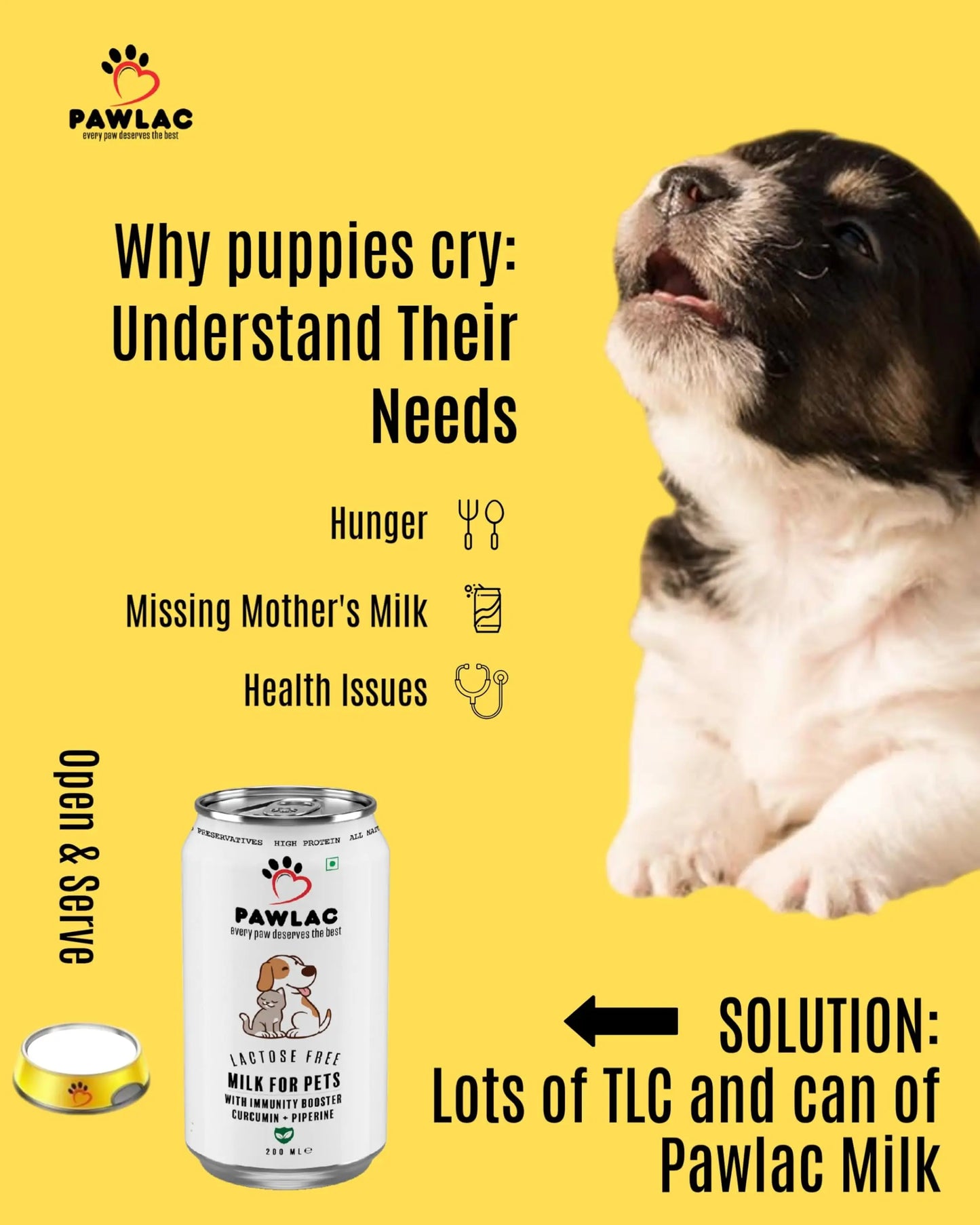 Pawlac Lactose Free Milk for Pets | Immunity Booster | Antioxidant & Anti-Inflammatory | Vet Recommended Golden Milk | Comprehensive Pet Wellness | Ready to Serve | Pack of 4 Cans 200 ml Pawlac