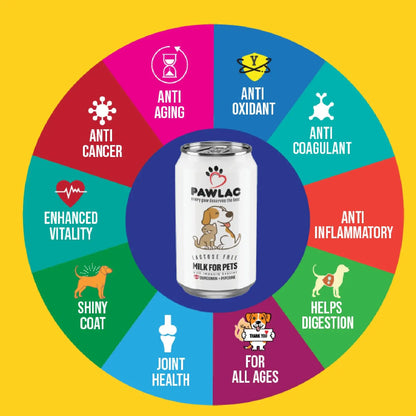 Pawlac Lactose Free Milk for Pets | Immunity Booster | Antioxidant & Anti-Inflammatory | Vet Recommended Golden Milk | Comprehensive Pet Wellness | Ready to Serve | Pack of 4 Cans 200 ml Pawlac