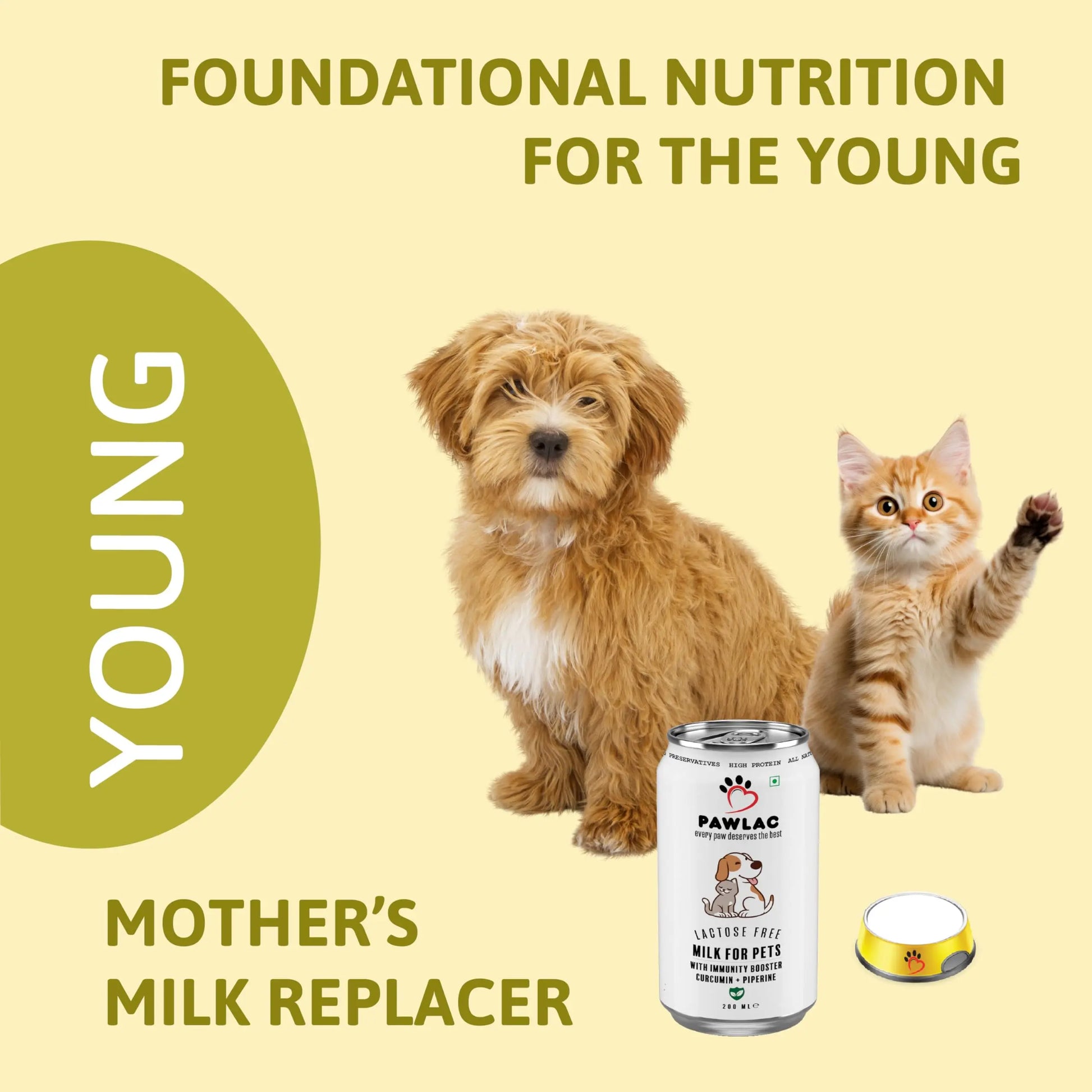 Pawlac Lactose Free Milk for Pets | Immunity Booster | Antioxidant & Anti-Inflammatory | Vet Recommended Golden Milk | Comprehensive Pet Wellness | Ready to Serve | Pack of 4 Cans 200 ml Pawlac