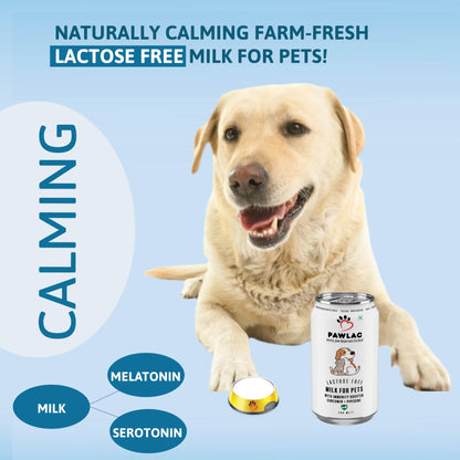 Pawlac Lactose Free Milk for Pets | Immunity Booster | Antioxidant & Anti-Inflammatory | Vet Recommended Golden Milk | Comprehensive Pet Wellness | Ready to Serve | Pack of 4 Cans 200 ml Pawlac