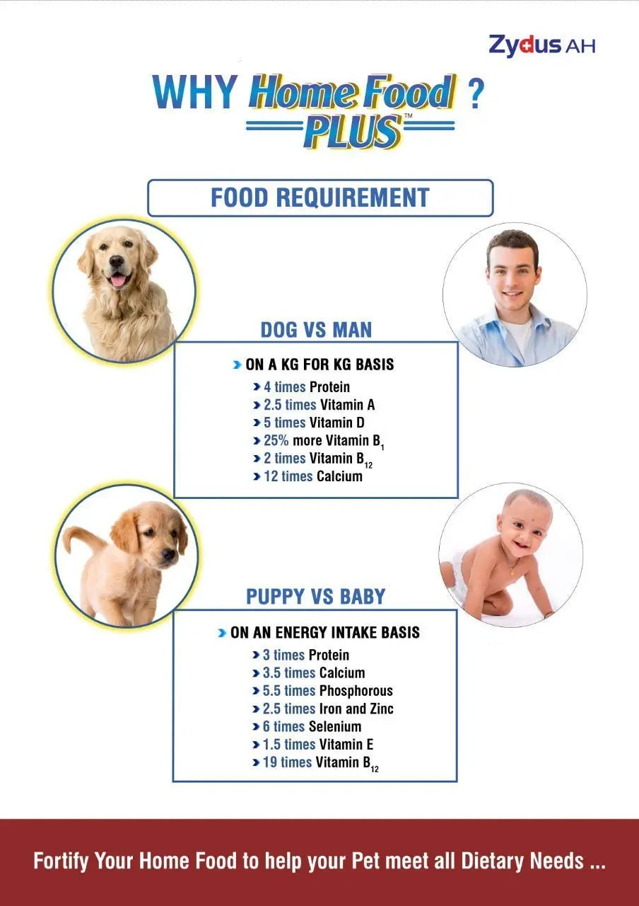 Dog Labrador Puppy Feeding Chart Labrador Puppy Food Chart How
