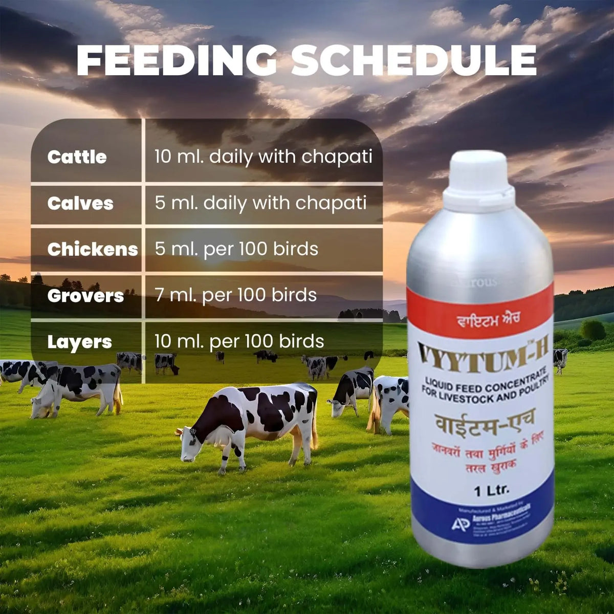 Pharma Vyytum-H Veterinary Vitamin-H for Cow, Cattle, Poultry & Livestock Animals with Vitamin-D3 & E Liquid Feed Supplement for Cattle, Cow and Farm Animals / (1 Litre Pack) Pharma