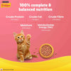 Purina Friskies Kitten Discoveries, Dry Food for Kitten, 1kg Pack PURINA