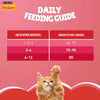Purina Friskies Kitten Discoveries, Dry Food for Kitten, 1kg Pack PURINA